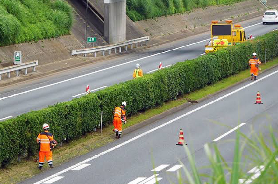 草刈り・伐採イメージ